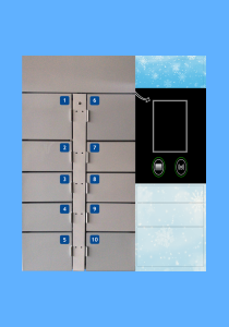 FREEZER LOCKERS with temperature control, including remote control